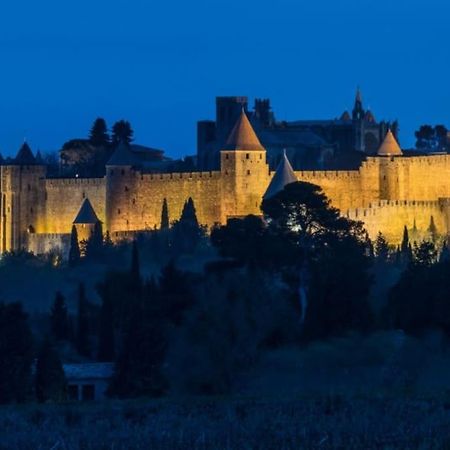 Appartement Le Panoramique - Sublime Vue Sur La Cite à Carcassonne Extérieur photo